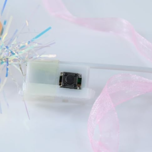 LED Flower Crown Headband